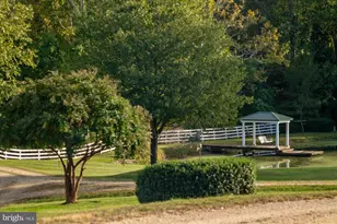 1787 Light Horse Ln, Delaplane, VA 20144 - Photo 55