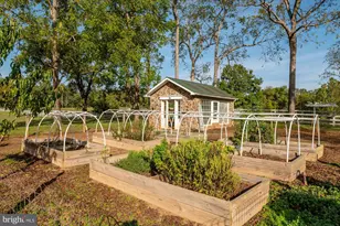 1787 Light Horse Ln, Delaplane, VA 20144 - Photo 45