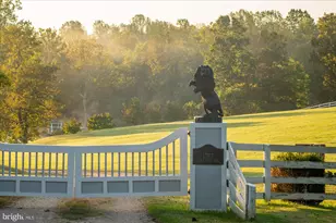 1787 Light Horse Ln, Delaplane, VA 20144 - Photo 65