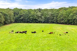 5364 Woodside Ln, Bealeton, VA 22712 - Photo 107