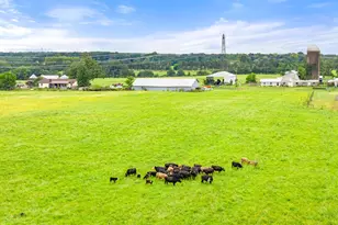 5364 Woodside Ln, Bealeton, VA 22712 - Photo 125