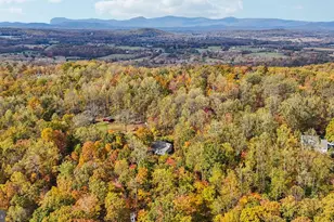 9830 Wineberry Rd, Marshall, VA 20115 - Photo 91