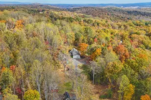 9830 Wineberry Rd, Marshall, VA 20115 - Photo 97