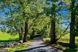 1610 Delaplane Grade Rd, Upperville, VA 20184 - Photo 19