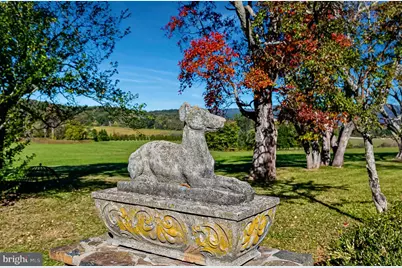 1610 Delaplane Grade Road, Upperville, VA 20184 - Photo 109