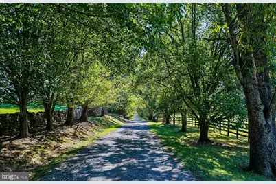 1610 Delaplane Grade Road, Upperville, VA 20184 - Photo 5