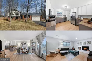 7405 Auburn Mill Rd, Warrenton, VA 20187 - Photo 1