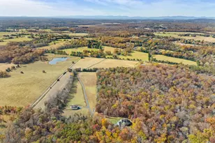 8485 Rogues Rd, Warrenton, VA 20187 - Photo 109