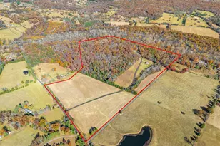 8485 Rogues Rd, Warrenton, VA 20187 - Photo 95