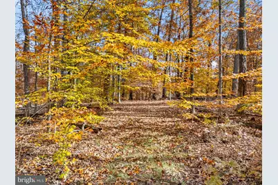 8485 Rogues Road, Warrenton, VA 20187 - Photo 99