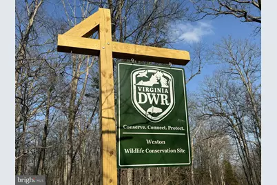 8485 Rogues Road, Warrenton, VA 20187 - Photo 117