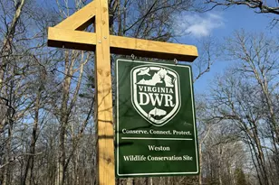 8485 Rogues Rd, Warrenton, VA 20187 - Photo 117
