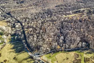 Fiery Run Rd, Linden, VA 22642 - Photo 1