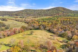 4050 Carrington, Delaplane, VA 20144 - Photo 49