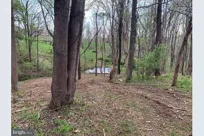 Winchester Road, Delaplane, VA 20144 - Photo 3