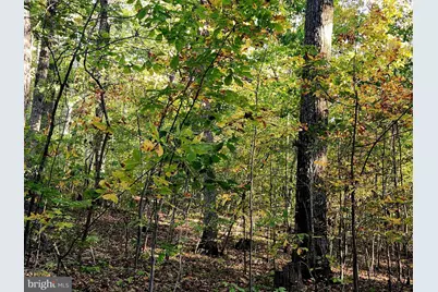 Lots 3 and 4 Ernest Robinson Road, Marshall, VA 20115 - Photo 5