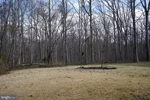 7323 O'Keefe Rd, Bealeton, VA 22712 - Photo 45