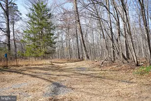 7323 O'Keefe Rd, Bealeton, VA 22712 - Photo 47