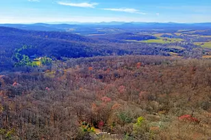 4119 Bull Run Mountain Rd, The Plains, VA 20198 - Photo 97