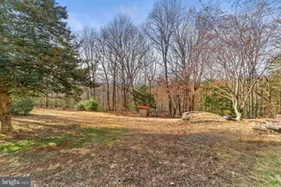 4119 Bull Run Mountain Rd, The Plains, VA 20198 - Photo 93