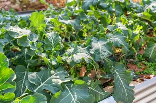 4119 Bull Run Mountain Rd, The Plains, VA 20198 - Photo 85