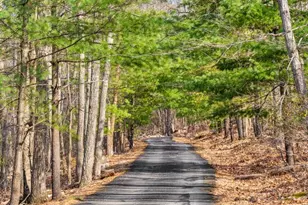 4119 Bull Run Mountain Rd, The Plains, VA 20198 - Photo 95