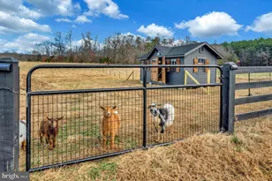 4600 Anns Ln, Bealeton, VA 22712 - Photo 49