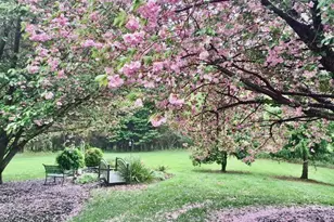 7573 Fusilier Dr, Warrenton, VA 20186 - Photo 9