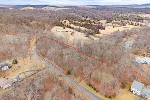 6030 Snow Mountain Rd, Broad Run, VA 20137 - Photo 3
