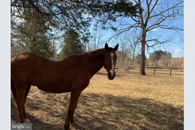 8487 Botha Road, Warrenton, VA 20186 - Photo 65