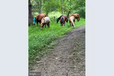 8487 Botha Road, Warrenton, VA 20186 - Photo 69