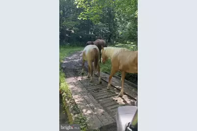 8487 Botha Road, Warrenton, VA 20186 - Photo 63