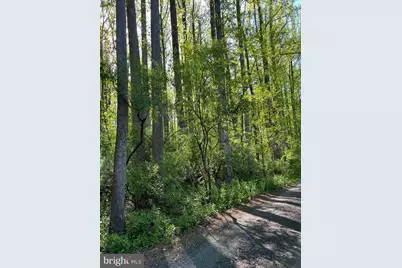 Carletans Ln, The Plains, VA 20198 - Photo 3