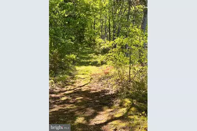 Elk Run, Bealeton, VA 22712 - Photo 3