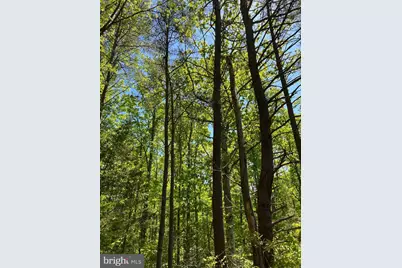 Elk Run, Bealeton, VA 22712 - Photo 9