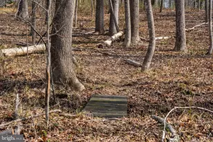 10418 Cliff Mills Rd, Marshall, VA 20115 - Photo 69