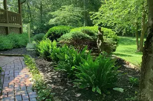 10418 Cliff Mills Rd, Marshall, VA 20115 - Photo 5