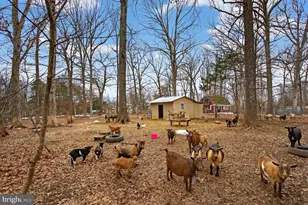 7406 Kennedy Rd, Nokesville, VA 20181 - Photo 27