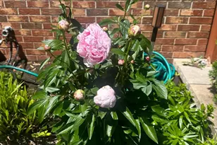 Warrenton Rd, Goldvein, VA 22720 - Photo 1