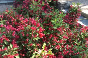 3850 Cobbler Mountain Rd, Delaplane, VA 20144 - Photo 101