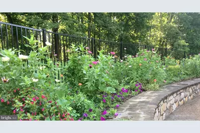 3850 Cobbler Mountain Road, Delaplane, VA 20144 - Photo 33