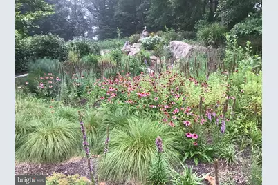 3850 Cobbler Mountain Road, Delaplane, VA 20144 - Photo 39