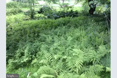 3850 Cobbler Mountain Road, Delaplane, VA 20144 - Photo 25