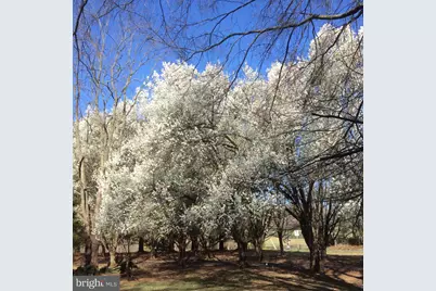 3850 Cobbler Mountain Road, Delaplane, VA 20144 - Photo 21