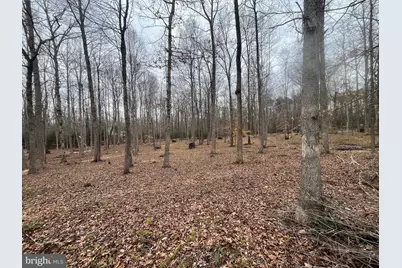 13220 Blackwood Forest Drive, Goldvein, VA 22720 - Photo 11