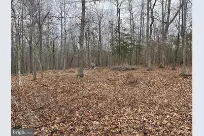 13220 Blackwood Forest Drive, Goldvein, VA 22720 - Photo 17