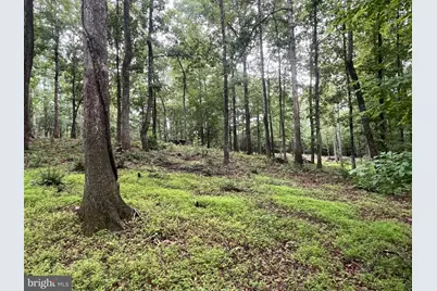 13220 Blackwood Forest Drive, Goldvein, VA 22720 - Photo 41