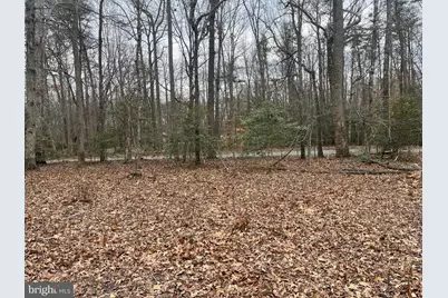 13220 Blackwood Forest Drive, Goldvein, VA 22720 - Photo 19