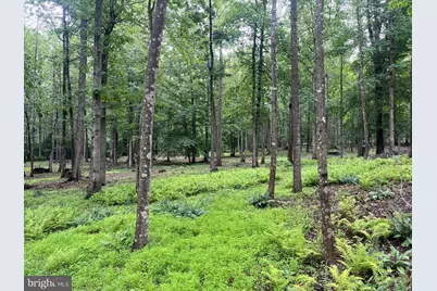13220 Blackwood Forest Drive, Goldvein, VA 22720 - Photo 37