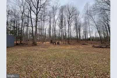 13220 Blackwood Forest Drive, Goldvein, VA 22720 - Photo 3